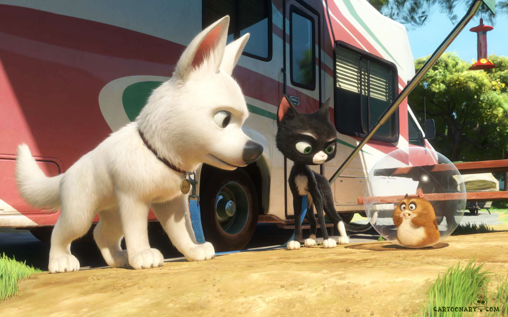 Bolt Movie Scene - HD Wallpaper 