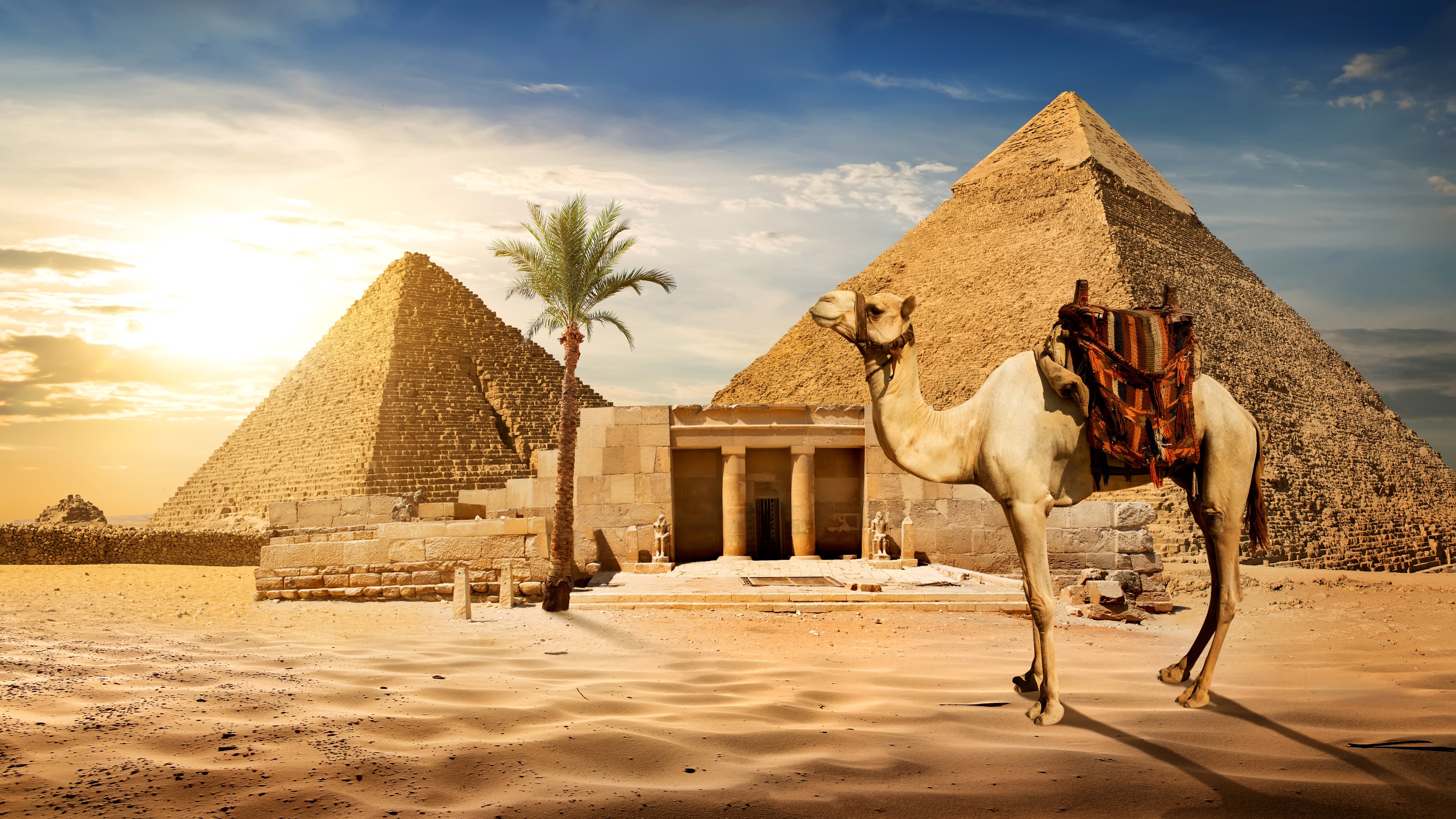 Wallpaper Cairo, Pyramid, Camel, Sands, Palm Tree, - Fond D Écran Egypte - HD Wallpaper 
