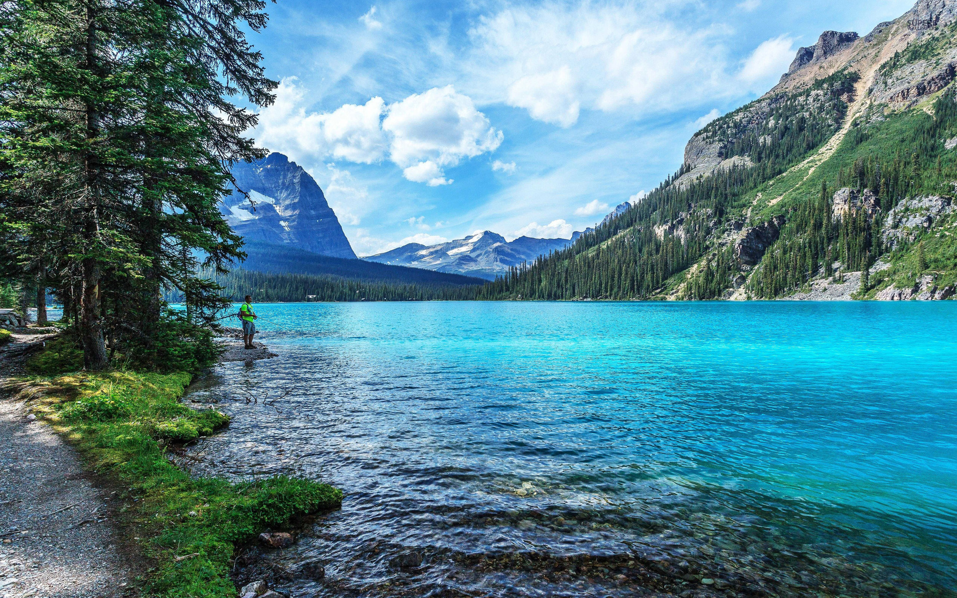Yosemite National Park Wallpaper 1920 - HD Wallpaper 