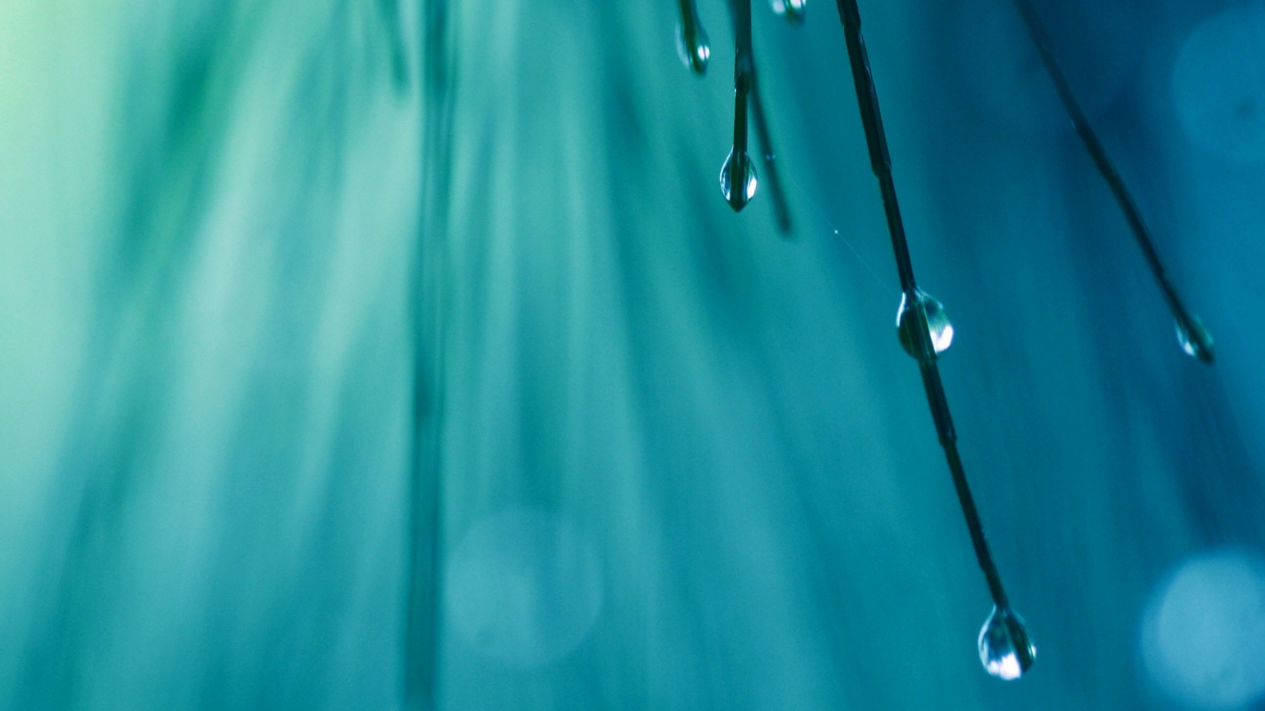 Daughter Of Poseidon Fanfiction - HD Wallpaper 