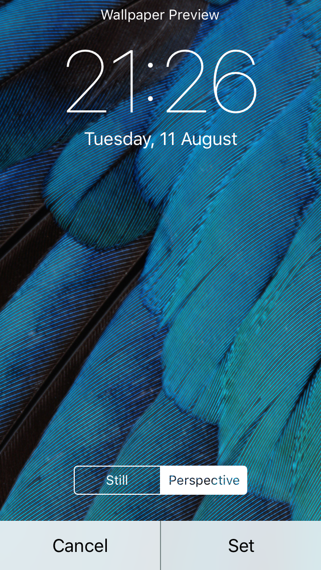 Poster - HD Wallpaper 