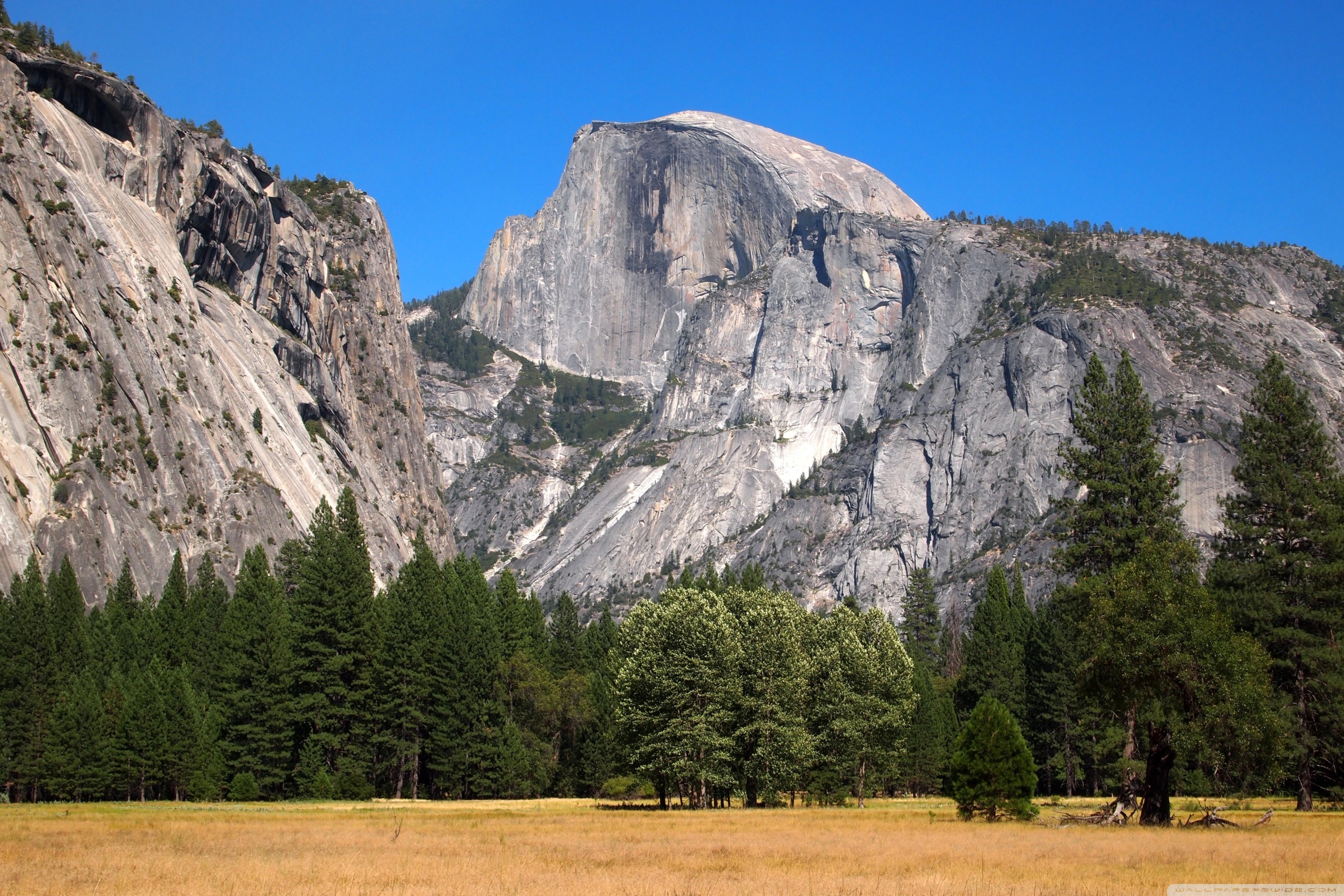Yosemite National Park, Half Dome - HD Wallpaper 
