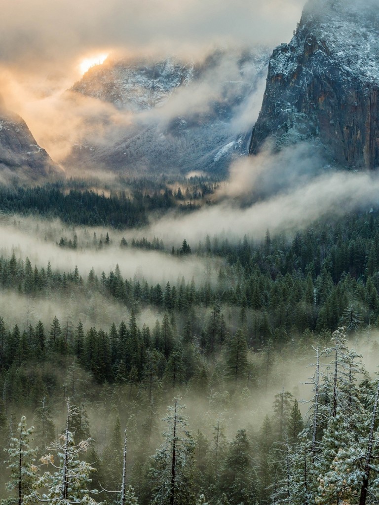 Mountain, Fog, Trees, Valley, Waterfall, Yosemite - Mountain Iphone Wallpaper Forest - HD Wallpaper 