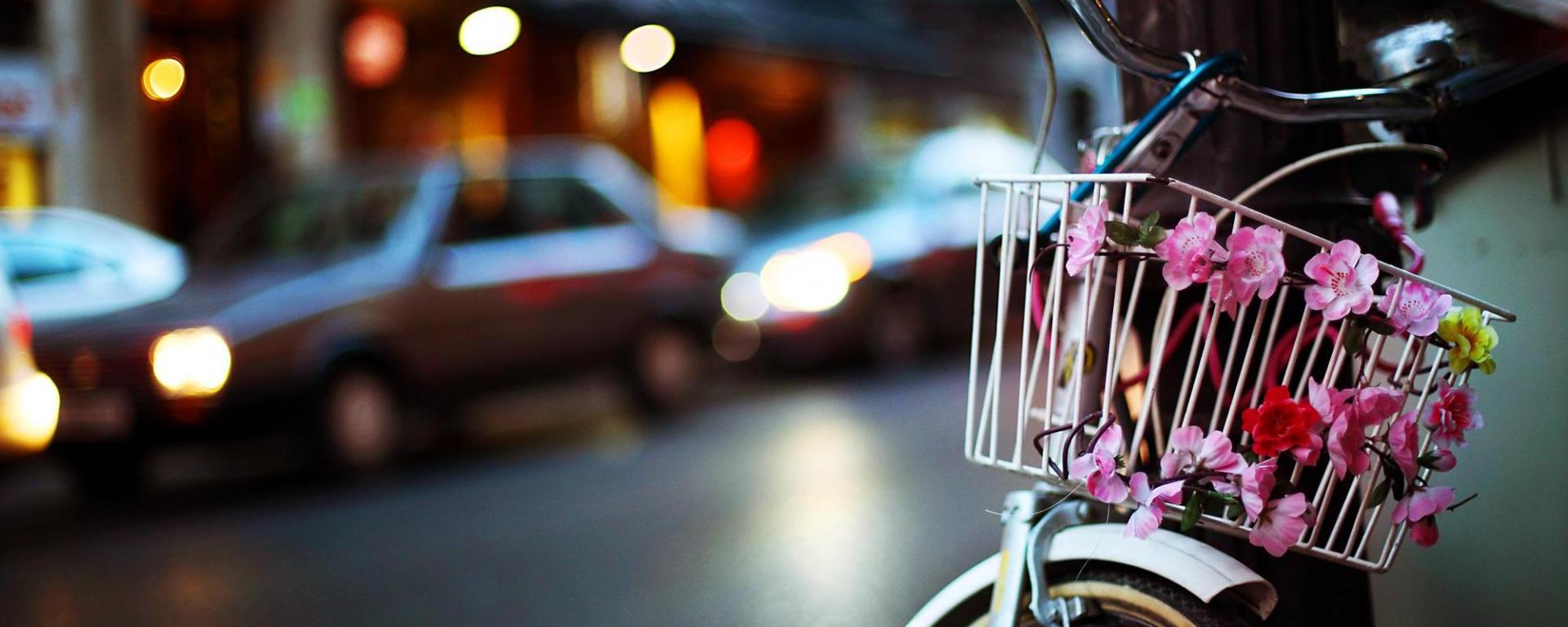 Cycle With Flower Basket - HD Wallpaper 