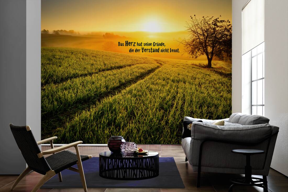 Livingwalls Photo Wallpaper Das Herz Hat - Wallpaper - HD Wallpaper 