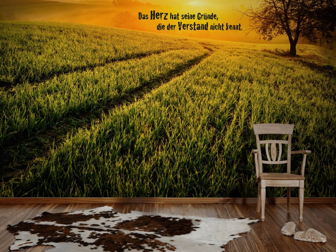 Livingwalls Photo Wallpaper Das Herz Hat - 93791 2 - HD Wallpaper 