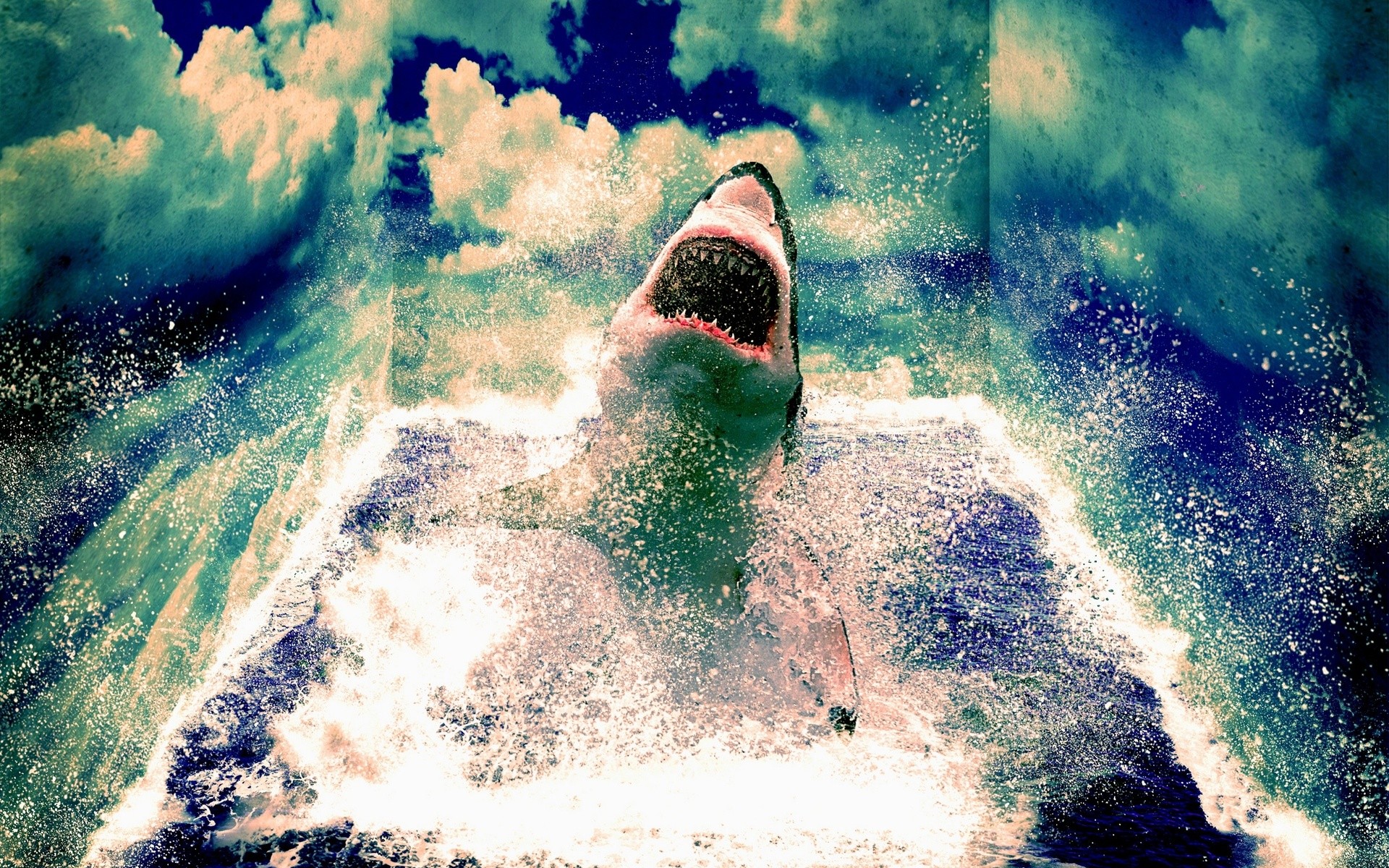 3d Shark Backgrounds - HD Wallpaper 