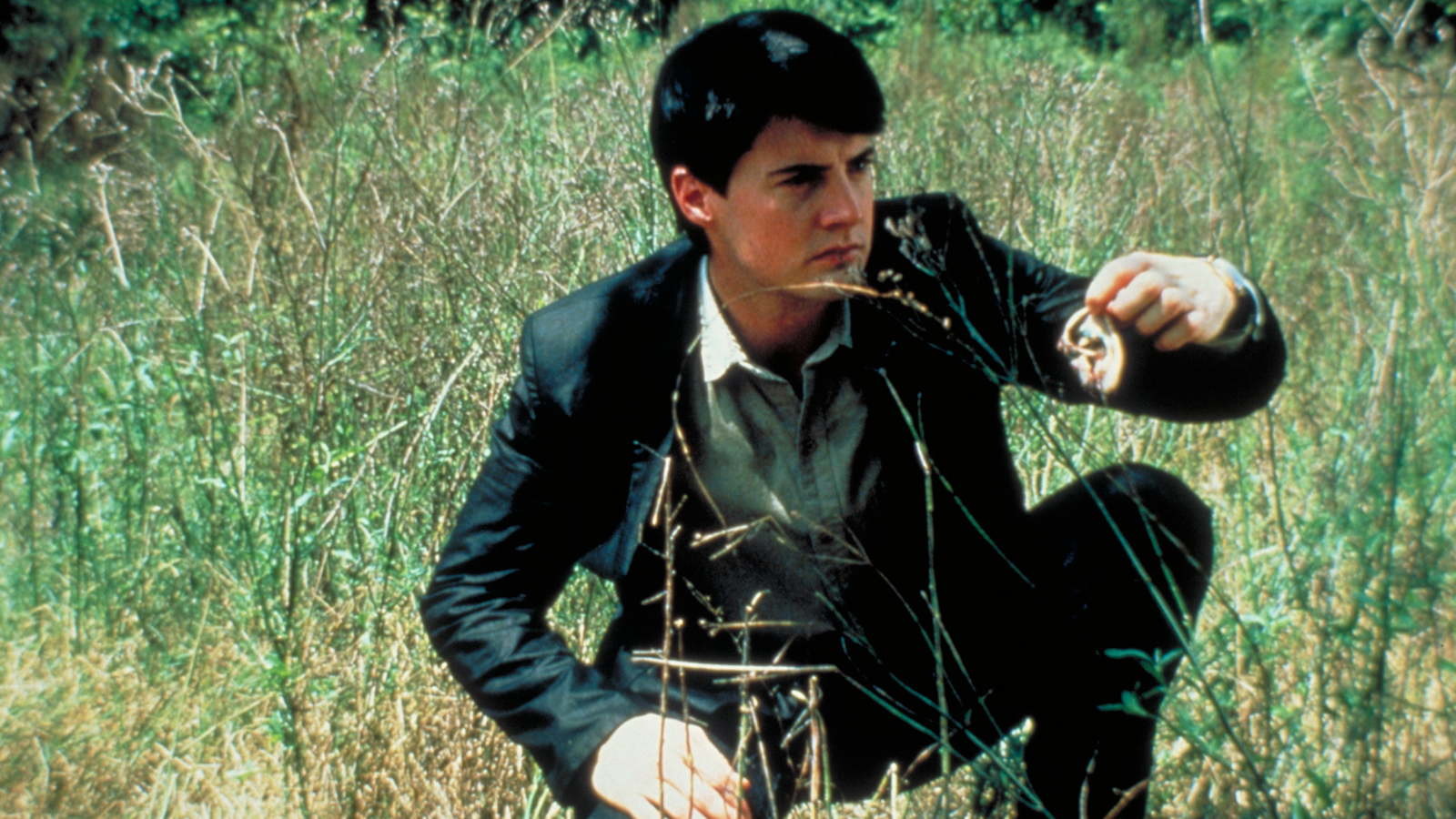 David Lynch Blue Velvet Ear - HD Wallpaper 