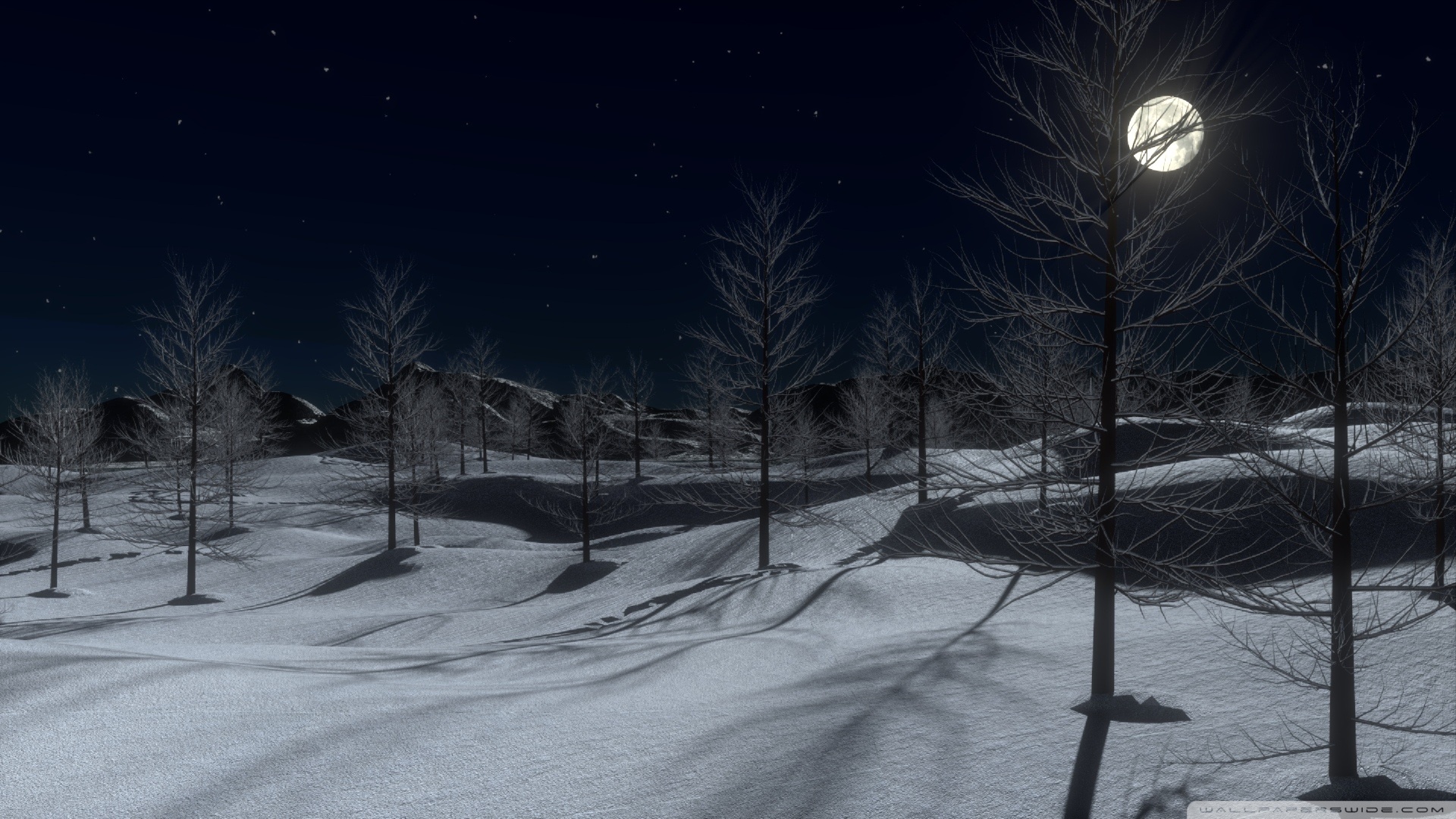 Full Moon Winter Night - HD Wallpaper 