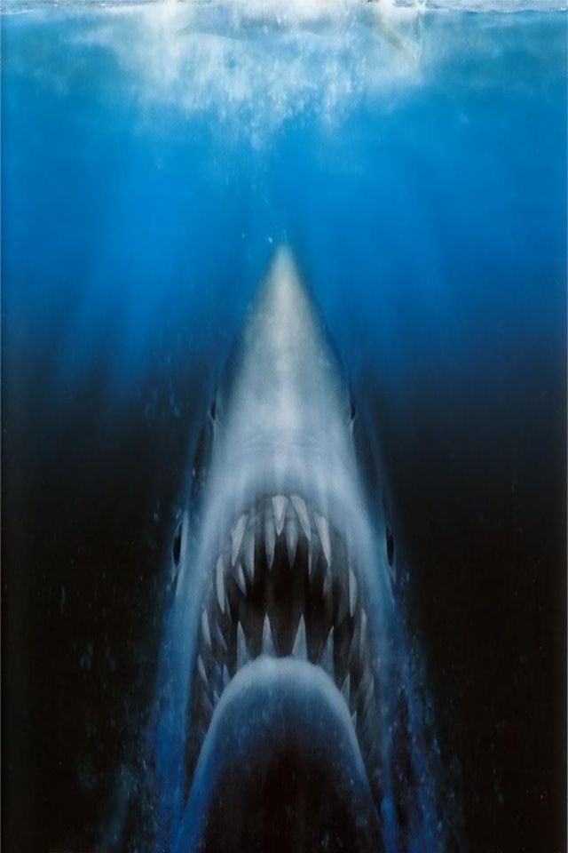 Jaws - HD Wallpaper 