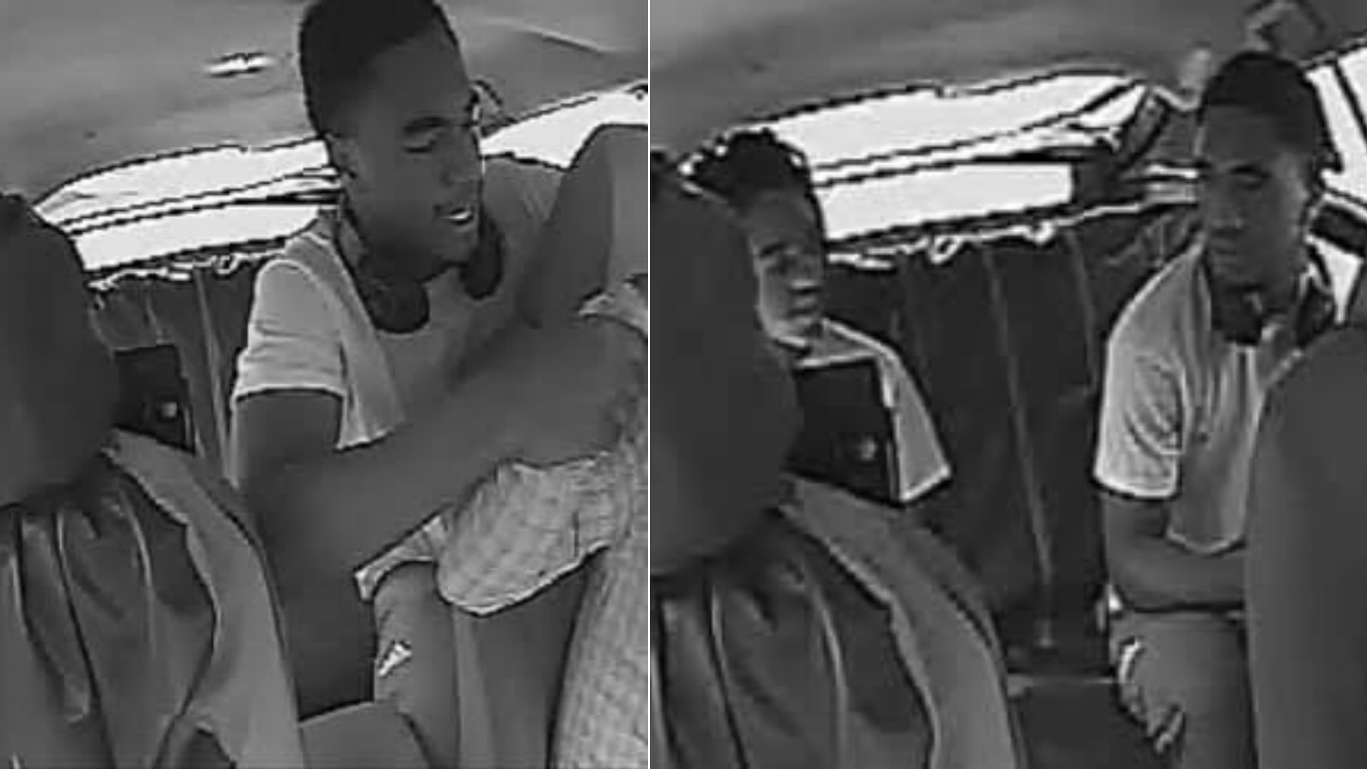 Monochrome - HD Wallpaper 