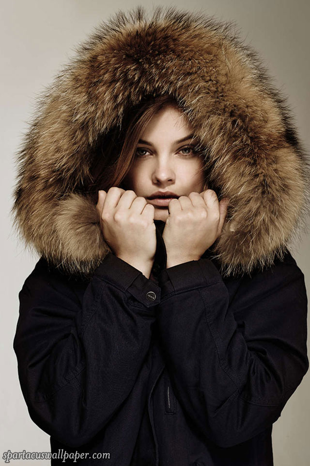 Wallpaper - HD Wallpaper 