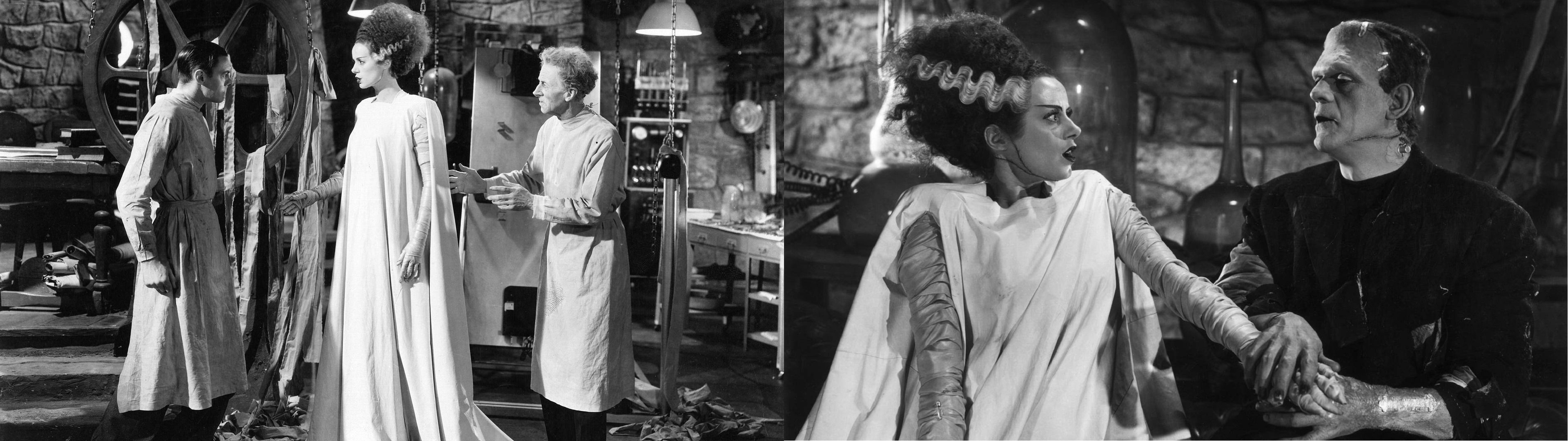 Frankenstein Couple Costume - HD Wallpaper 