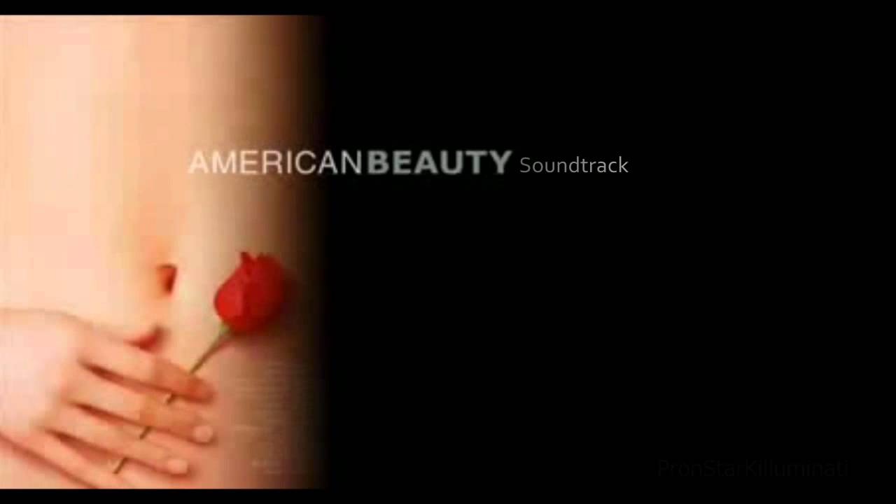 American Beauty Movie Poster - HD Wallpaper 