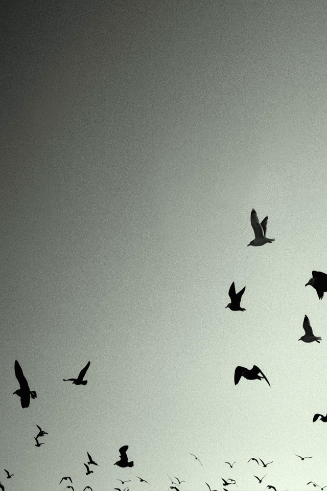 Nine Inch Nails Wallpaper - Nine Inch Nails Ghosts Artwork - HD Wallpaper 