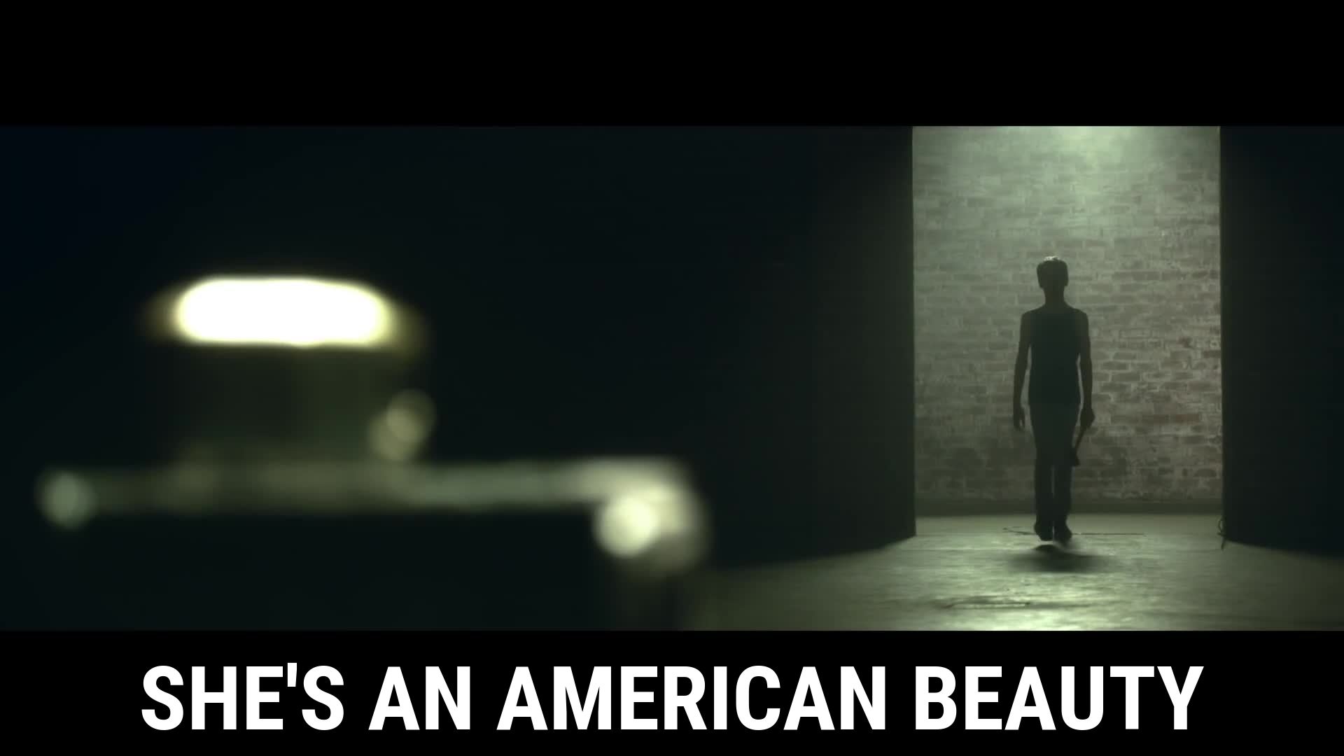 She S An American Beauty / Fall Out Boy - They Say Romance Is Dead - HD Wallpaper 