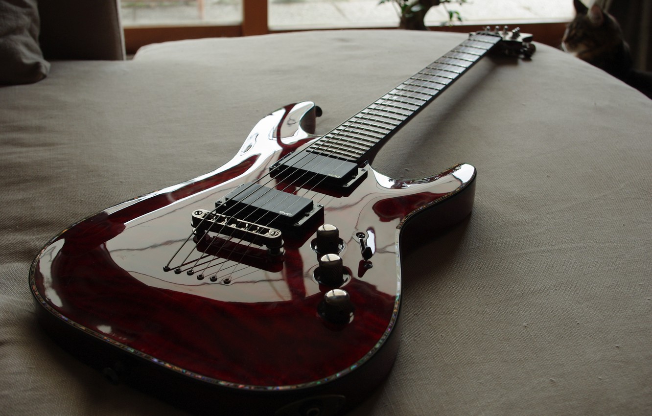 Photo Wallpaper Cat, Room, Guitar, Guitar, Cat, Room, - Schecter Hellraiser - HD Wallpaper 