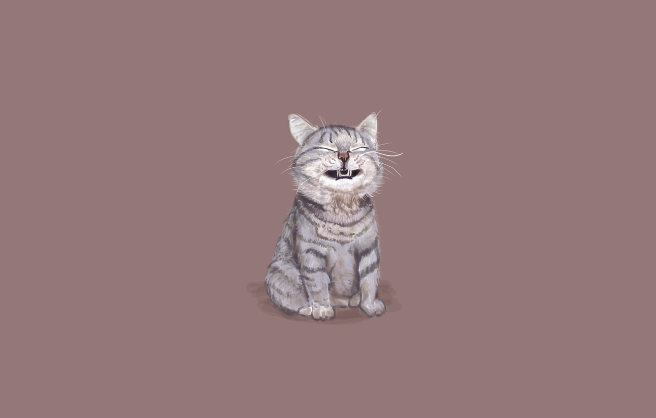 Photo Wallpaper Cat, Cat, Minimalism, Sitting, Funny - Dragon Li - HD Wallpaper 