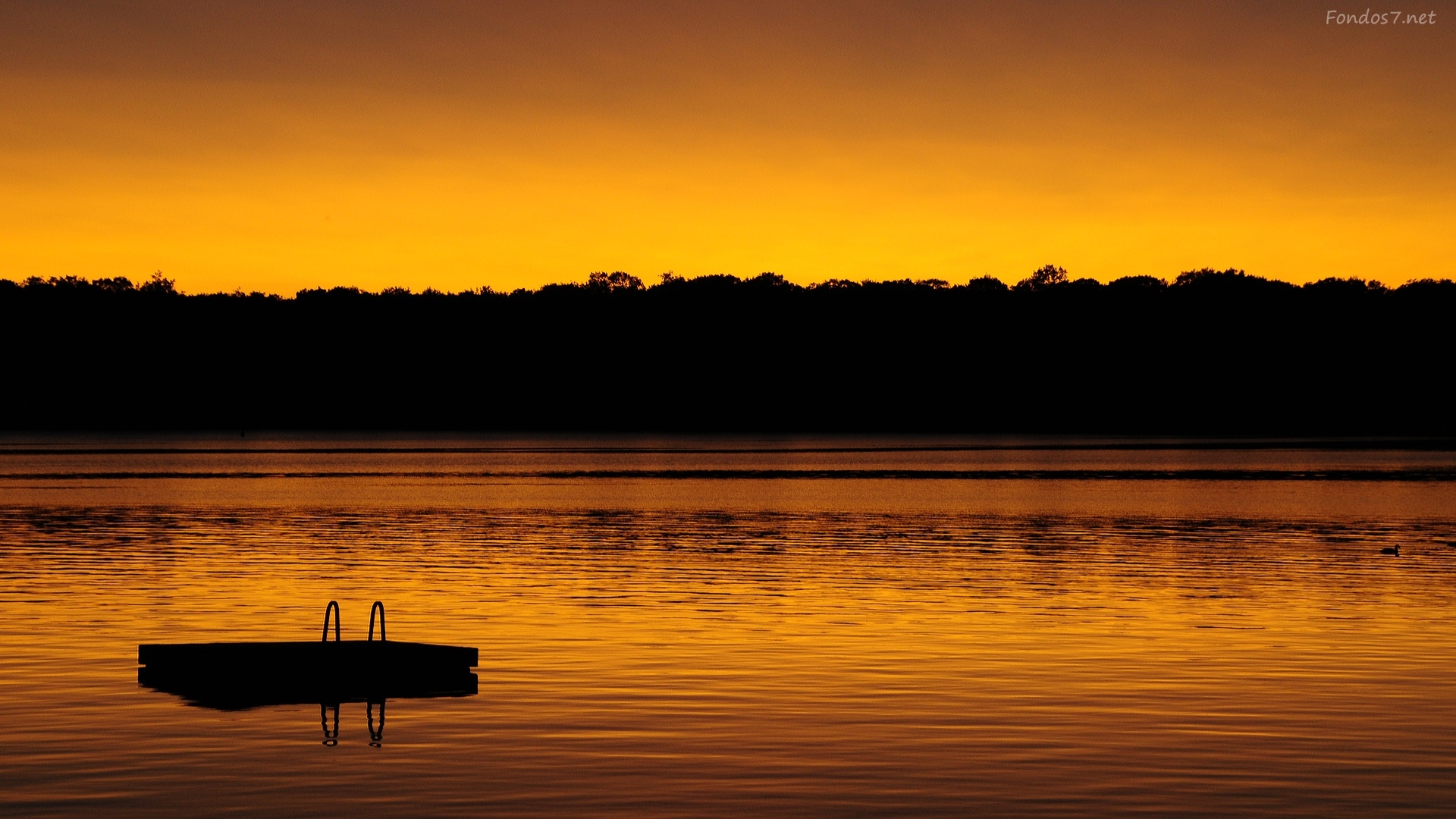 Offensive Background - HD Wallpaper 