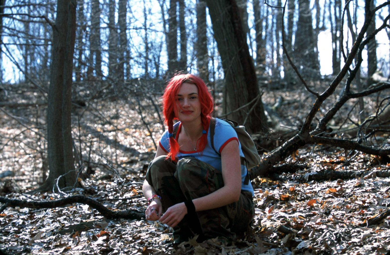 Eternal Sunshine Of The Spotless Mind Forest - HD Wallpaper 