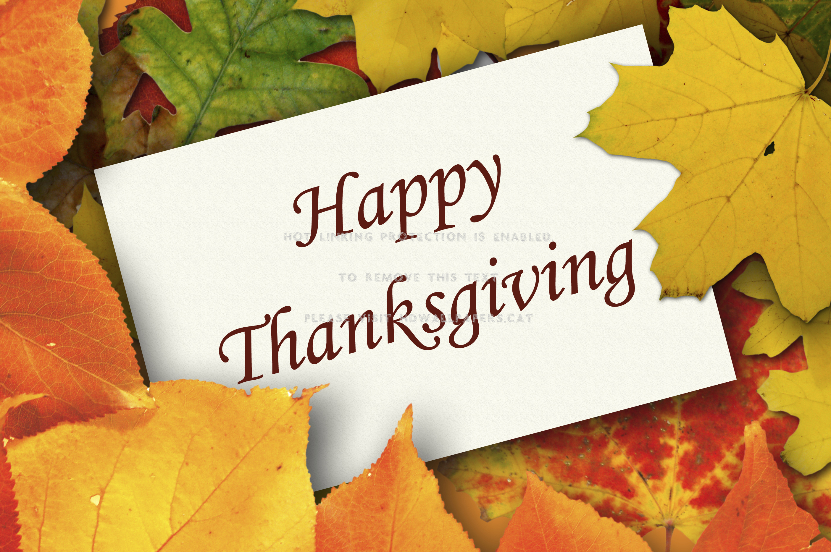 Happy Thanksgiving Fall Autumn Leaves 3d Cg - Happy Thanksgiving - HD Wallpaper 