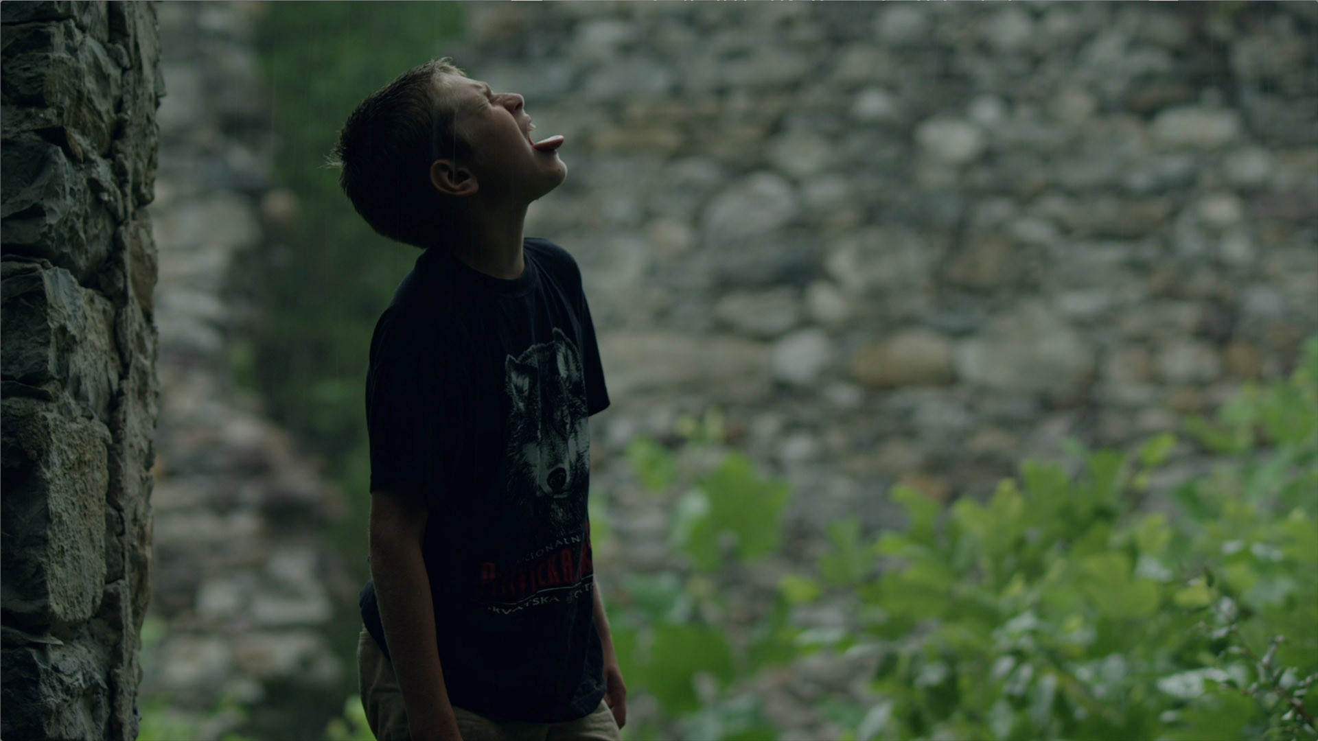 Boyhood Funny Face In Hollywood Movie Photo - Hide Your Smiling Face - HD Wallpaper 