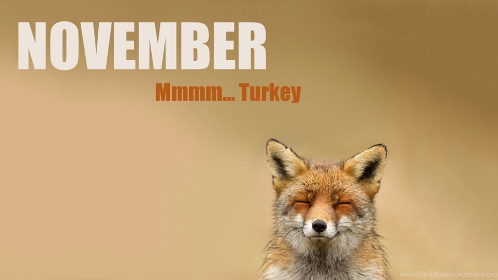 Funny Thanksgiving Wallpaper - Funny Thanksgiving Backgrounds Desktop - 1024x576 Wallpaper Funny Thanksgiving Wallpaper - Funny Thanksgiving Backgrounds Desktop - 1024x576 Wallpaper