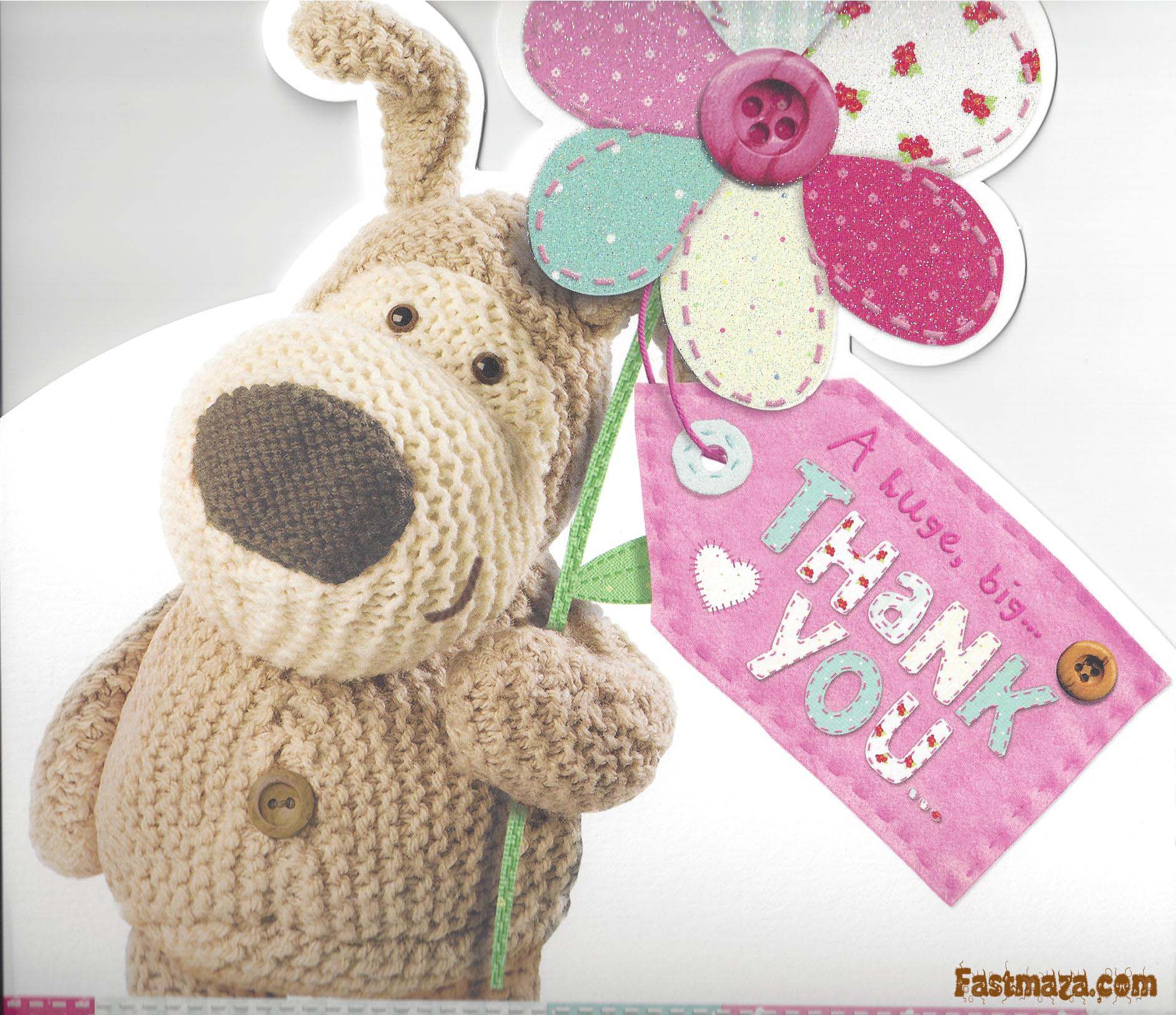 Dog, Flower, And Thank You Image - Huge Big Thank You - HD Wallpaper 