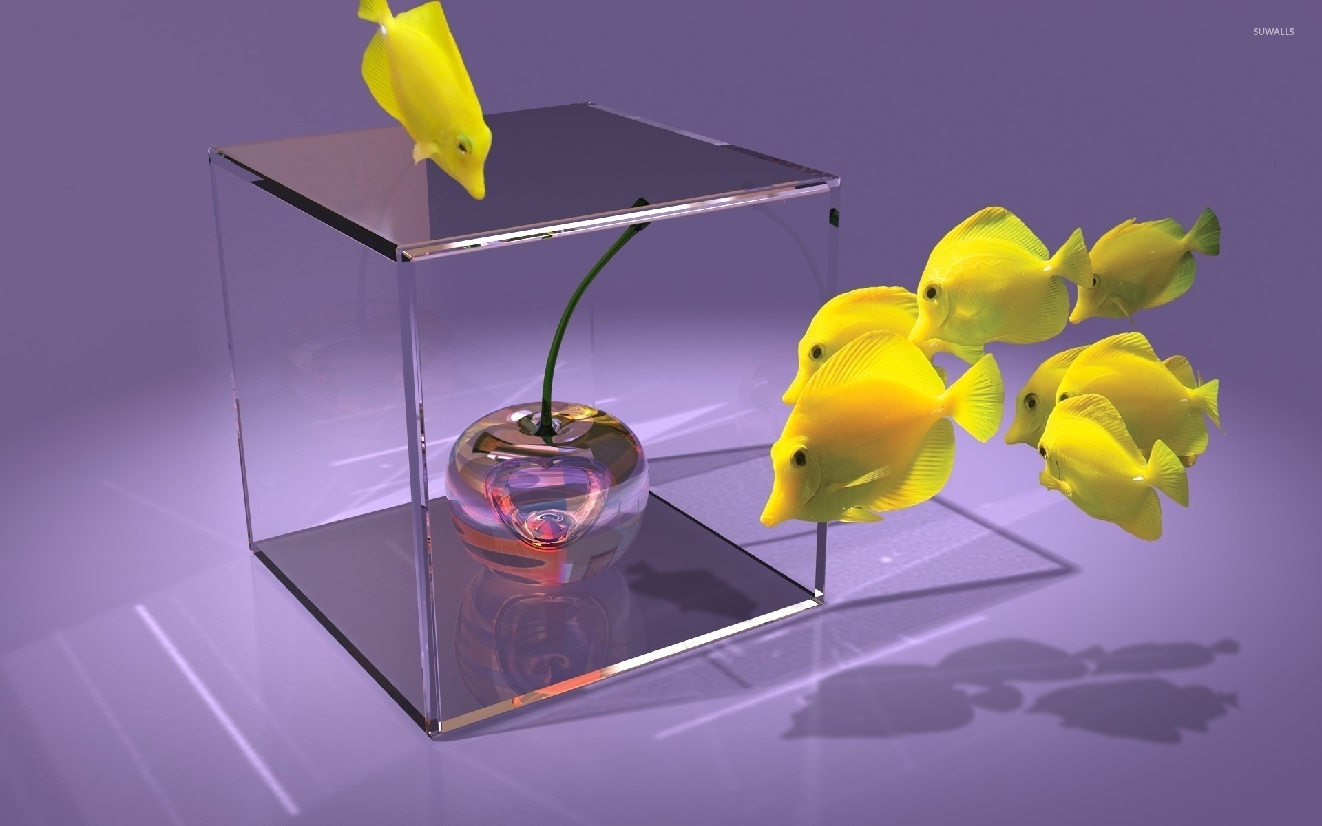 Glass Rose - 1920x1200 Wallpaper Glass Rose - 1920x1200 Wallpaper