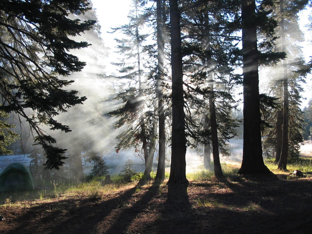 Music - HD Wallpaper 