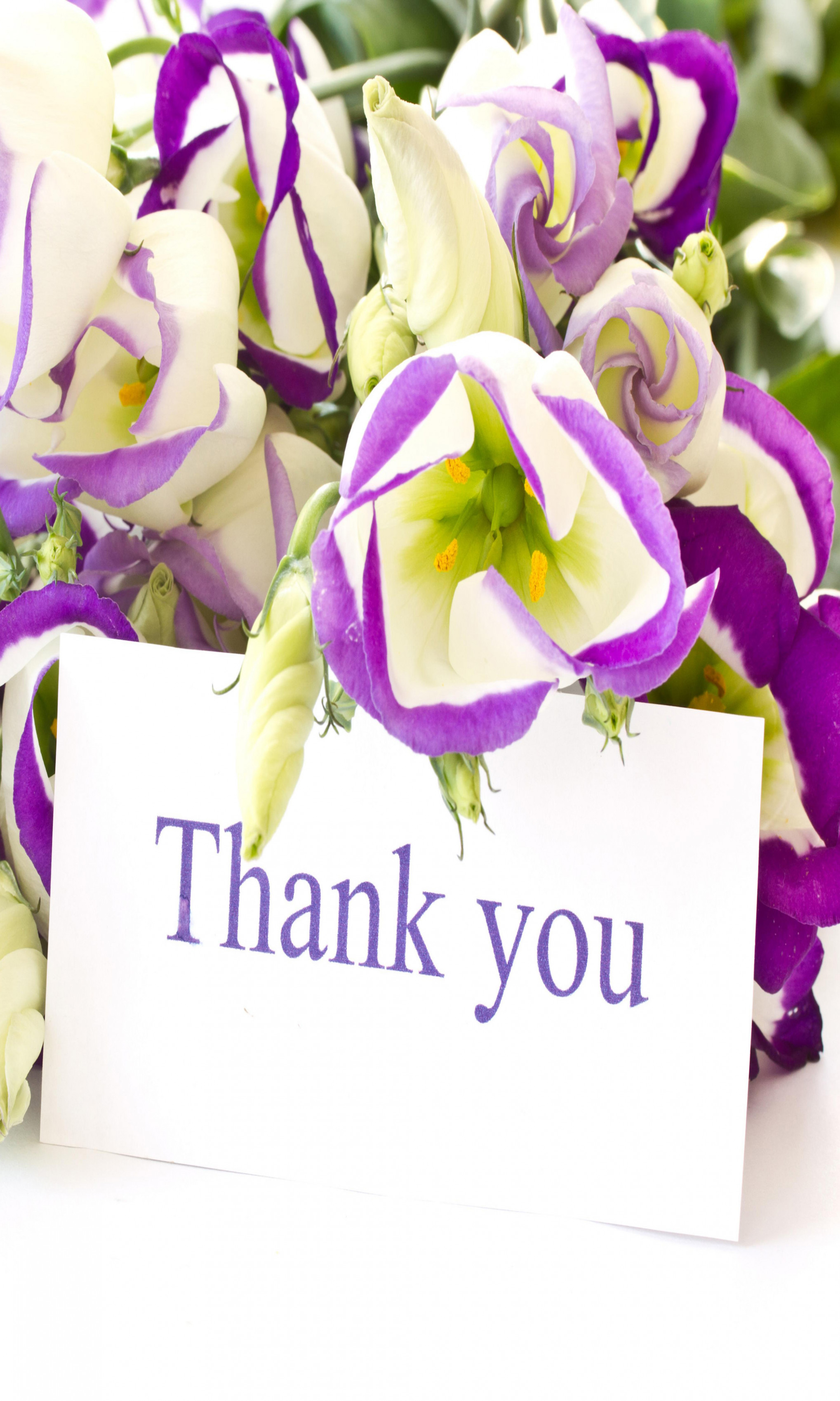 Thank You With White And Purple Flowers Iphone Hd Photos - Bouquet - HD Wallpaper 