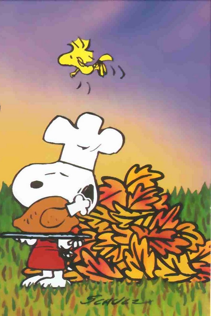 Charlie Brown Thanksgiving Phone Background - HD Wallpaper 