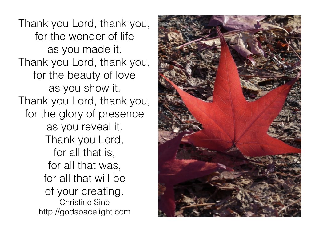 Maple Leaf - HD Wallpaper 