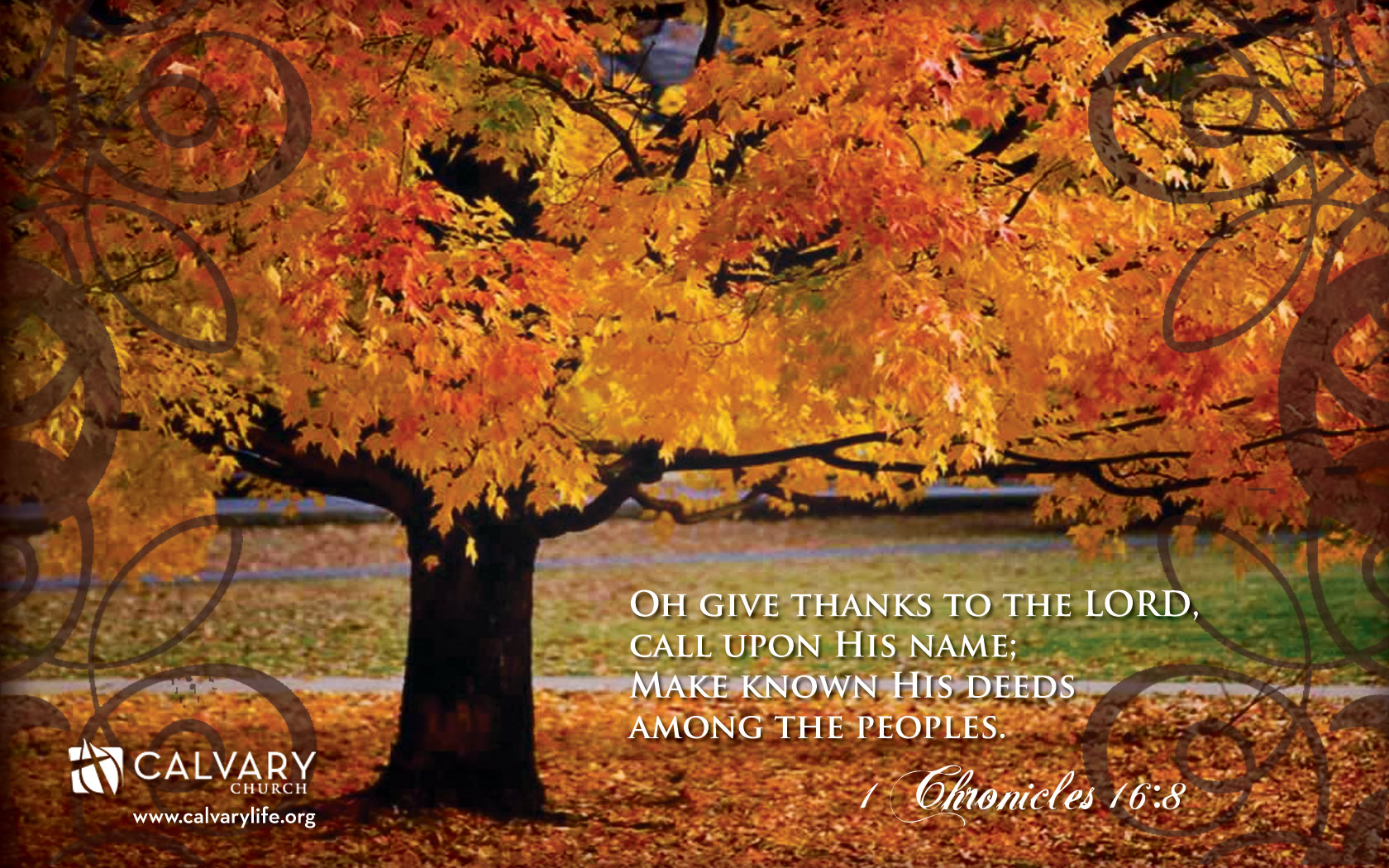 Give Thanks Wallpaper - Fall Backgrounds With Scripture - HD Wallpaper 