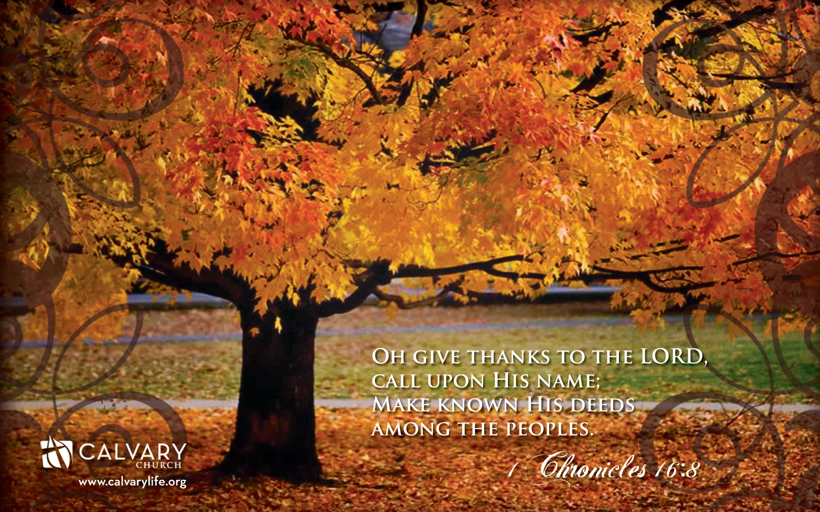 Give Thanks Wallpaper - Fall Backgrounds With Scripture - 1680x1050