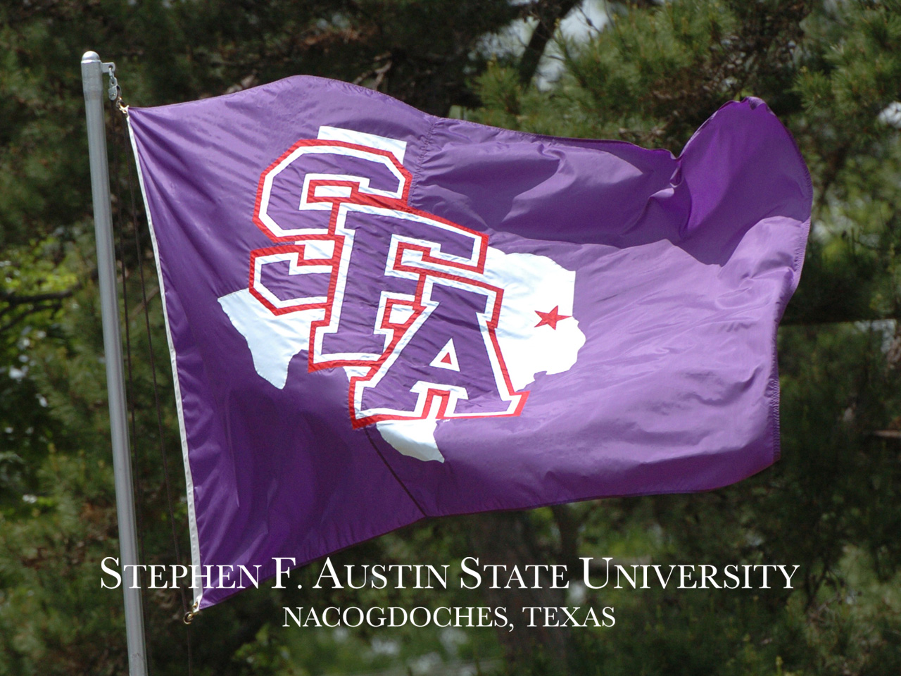 Stephen F Austin State University Flag - HD Wallpaper 