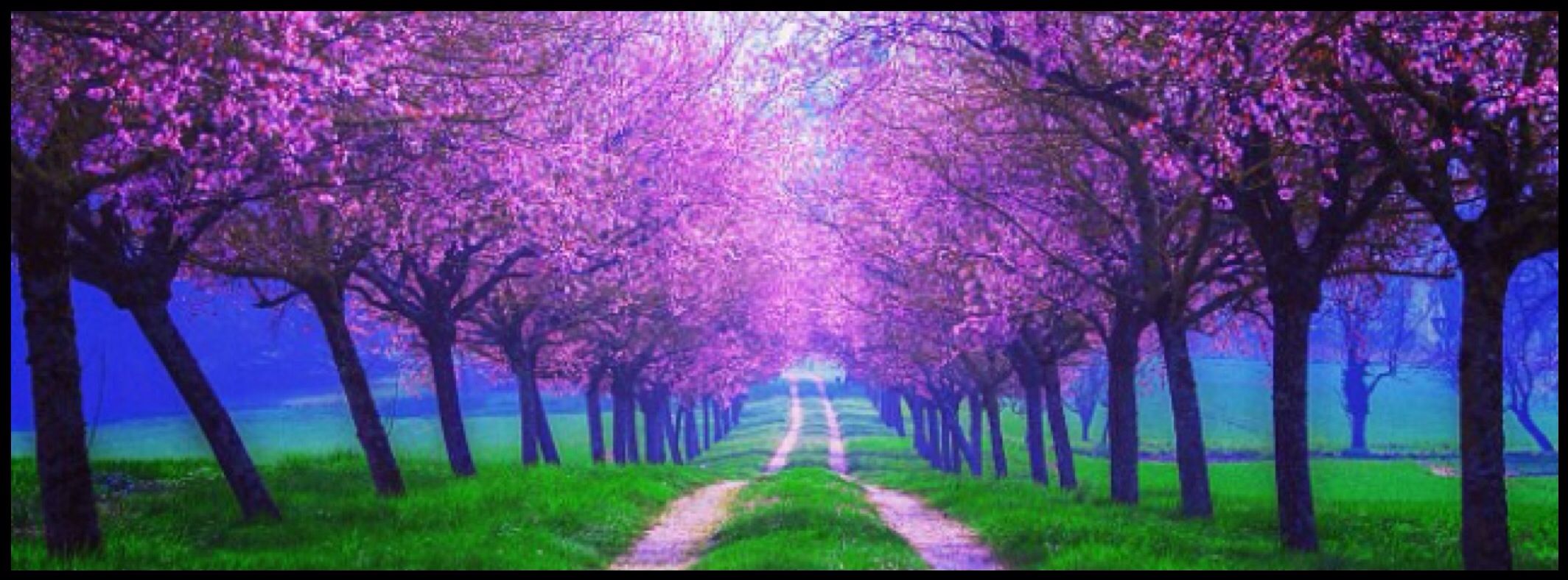 Beautiful Background Photos For Facebook - HD Wallpaper 