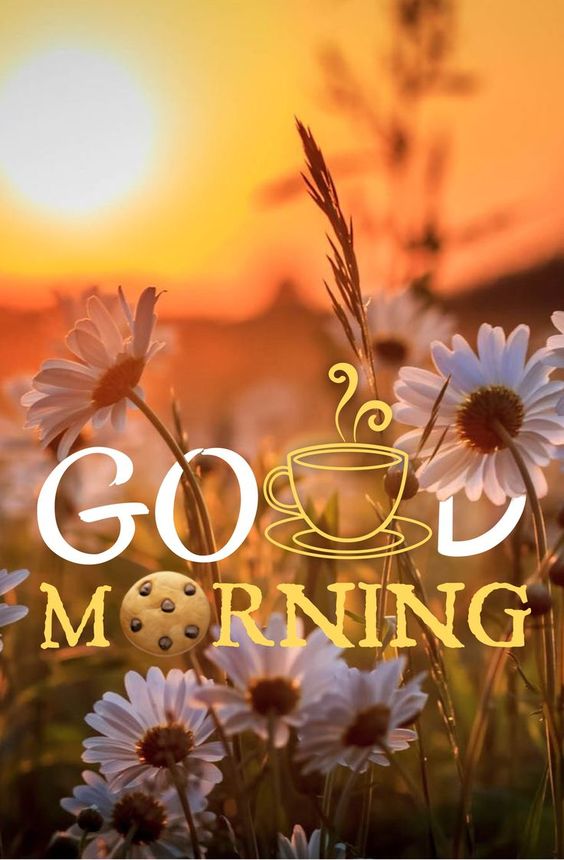 Good Morning Photos - Good Morning - HD Wallpaper 