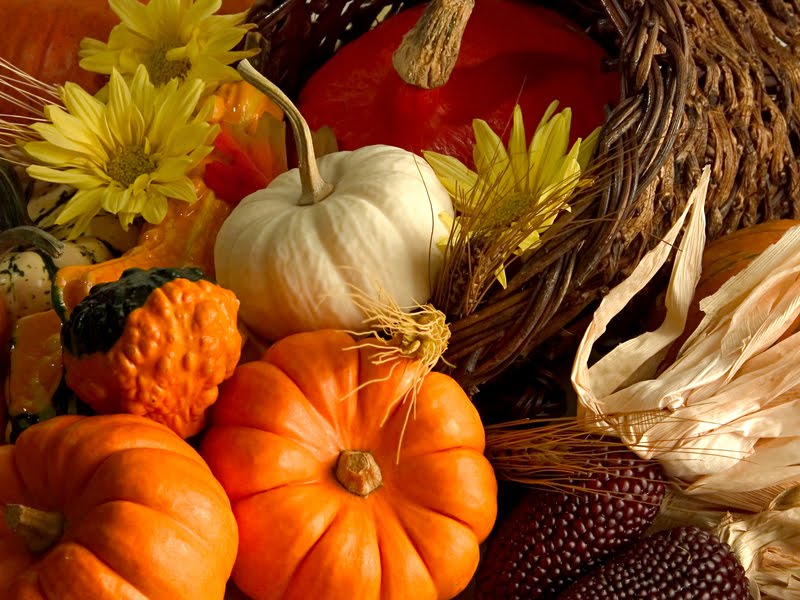 Thanksgiving Wallpaper For Mobiles - Happy Thanksgiving God Bless You And Your Family - HD Wallpaper 