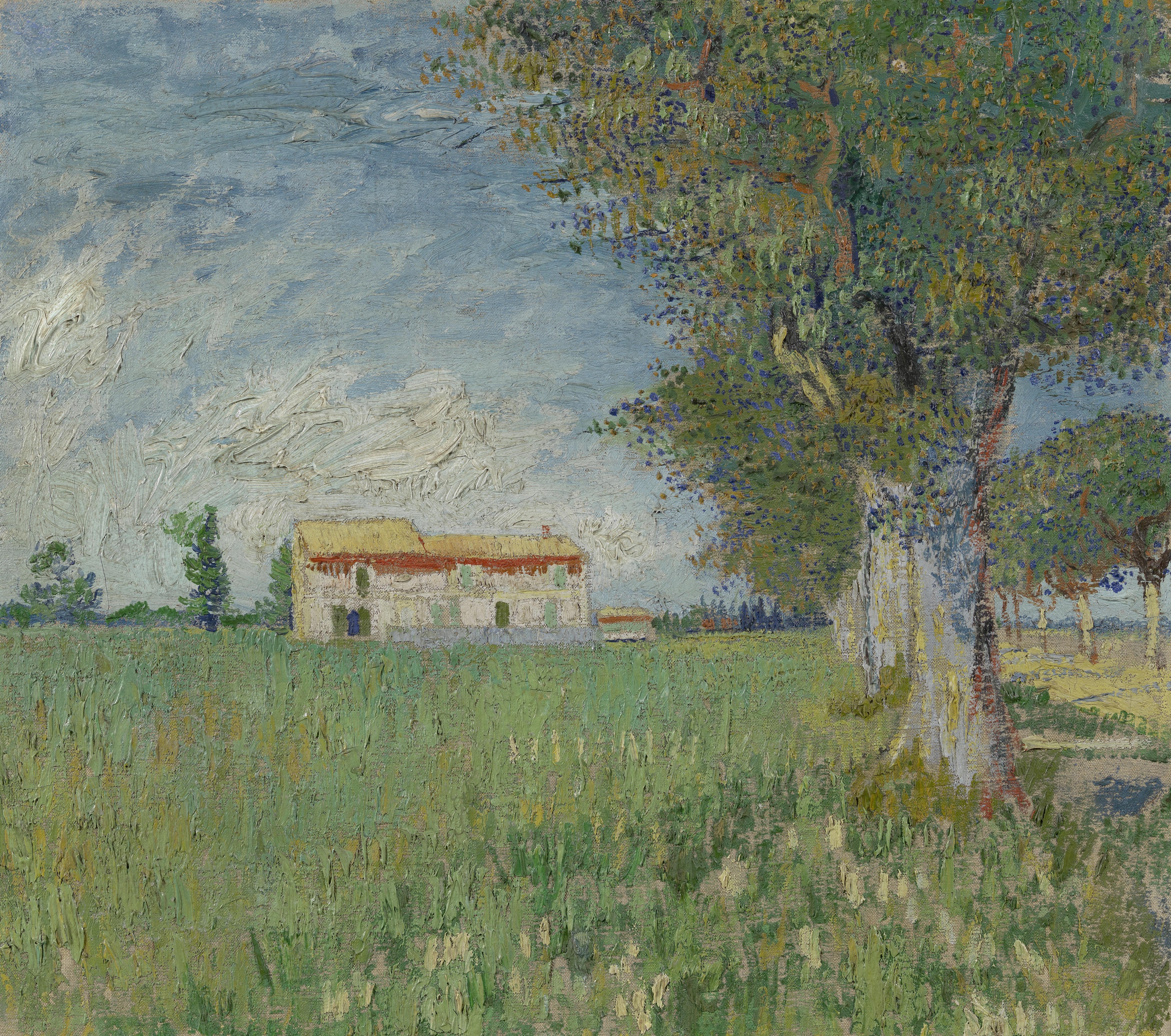 Sotheby's Vincent Van Gogh - HD Wallpaper 