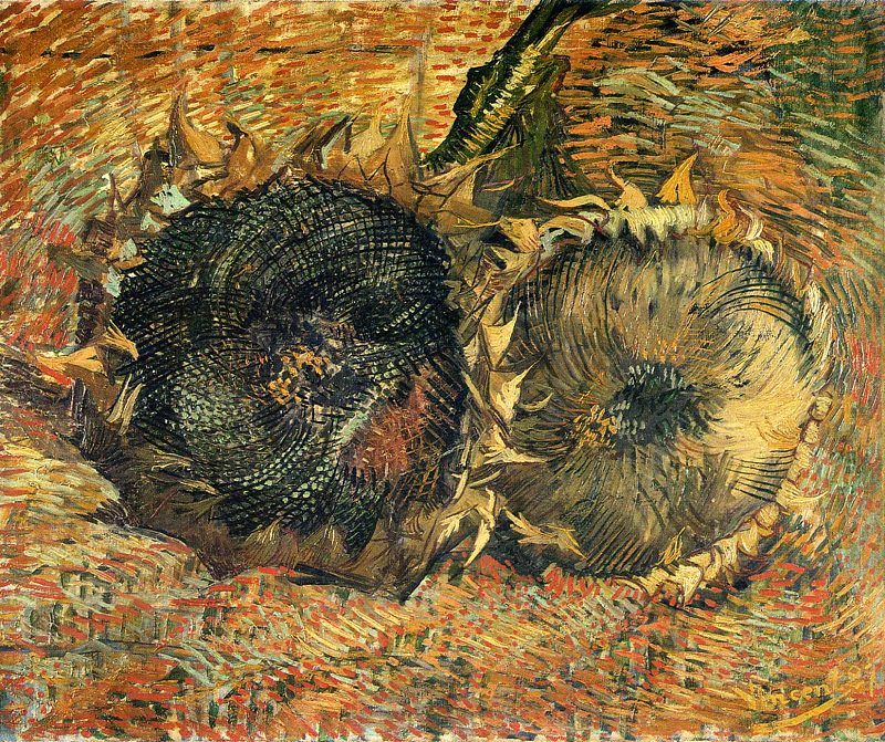 Two Cut Sunflowers Van Gogh Reproduction - Two Cut Sunflowers Van Gogh - HD Wallpaper 