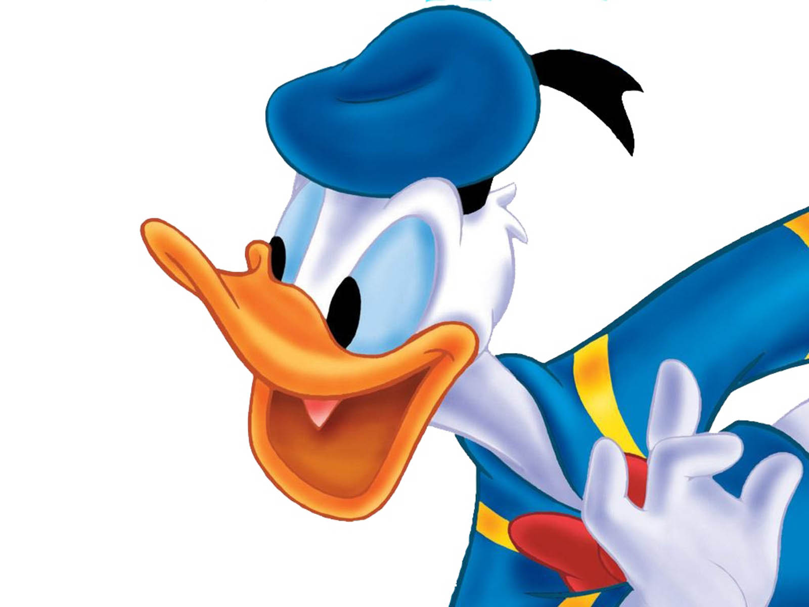 Donald Duck - HD Wallpaper 