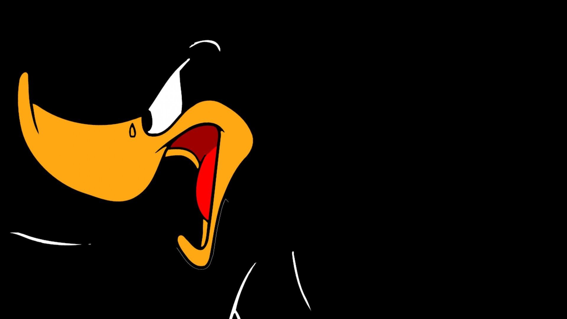 Wiki Daffy Duck Full Hd Wallpaper Pic 
 Data Src Download - Wallpaper - HD Wallpaper 