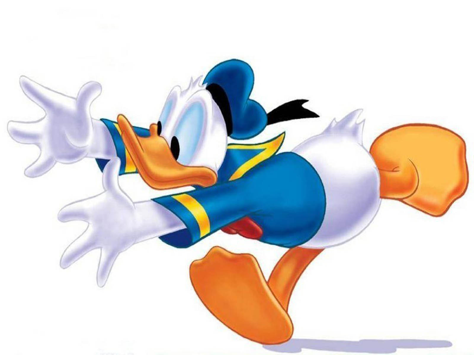Donald Duck - HD Wallpaper 