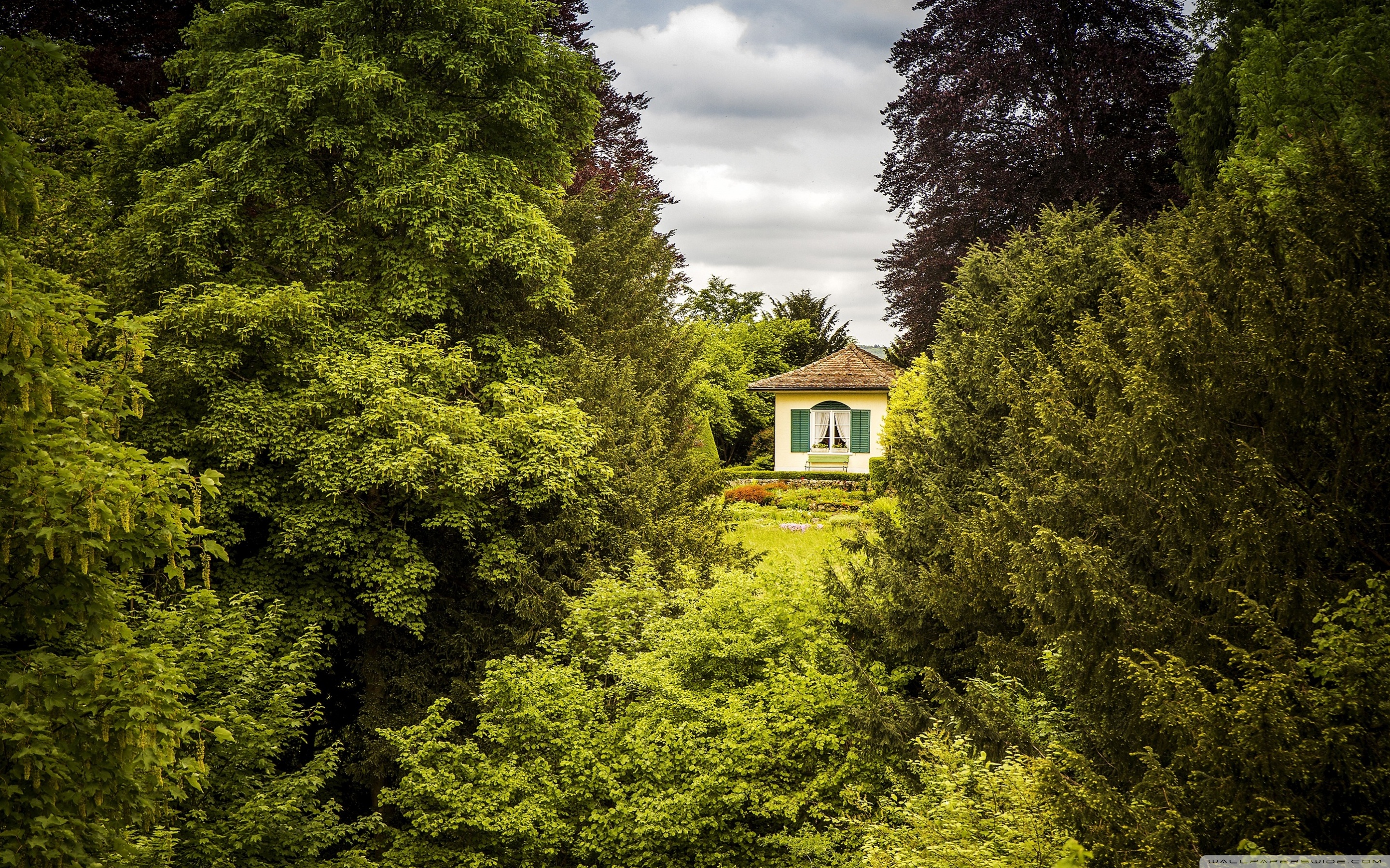 Rumah Dengan Pemandangan Hutan - HD Wallpaper 