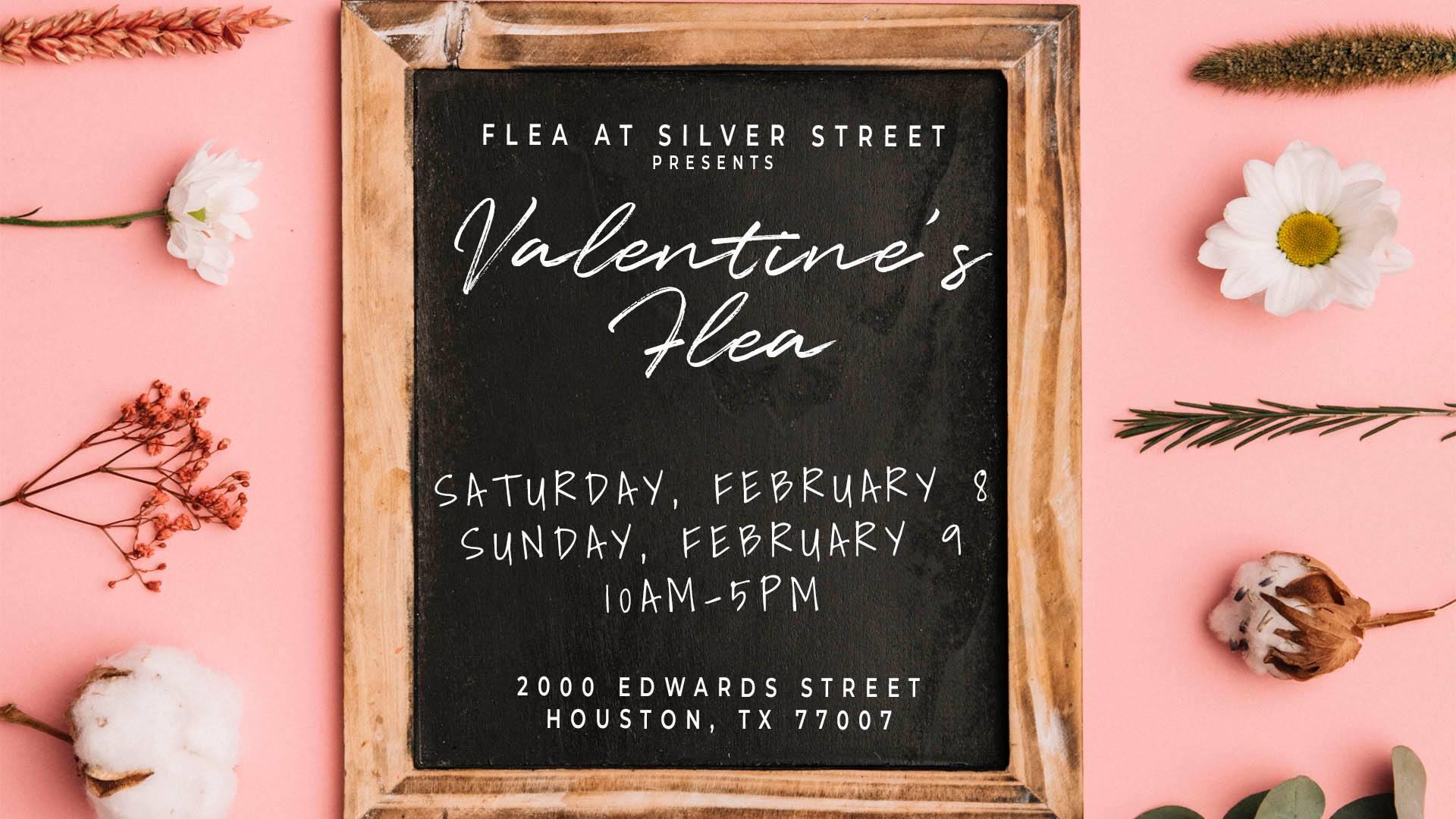 Flea At Silver Street - Marguerite Daisy - HD Wallpaper 