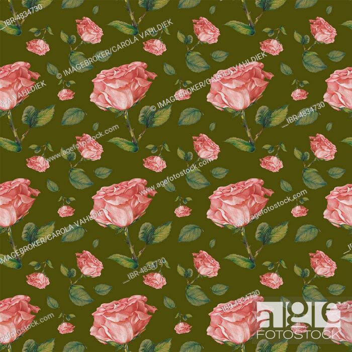 Wallpaper, Wrapping Paper, Seamless Pattern, Old Pink - Rpses Pattern Alamy Stock - HD Wallpaper 