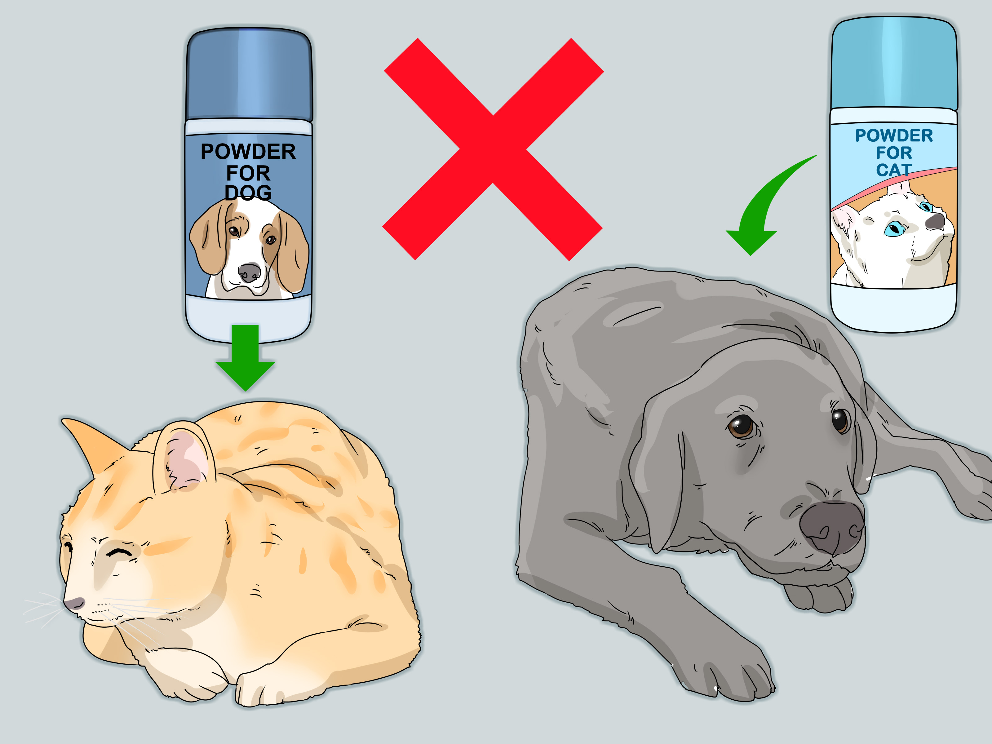 Image Titled Prevent Flea Bites Step - Get Fleas Off A Dog - HD Wallpaper 