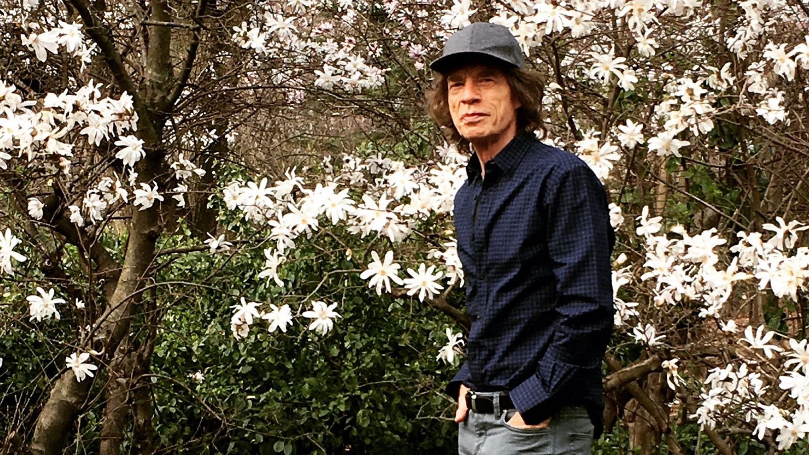 Mick Jagger Captioned The Photo & - Walk In The Park Jagger - HD Wallpaper 