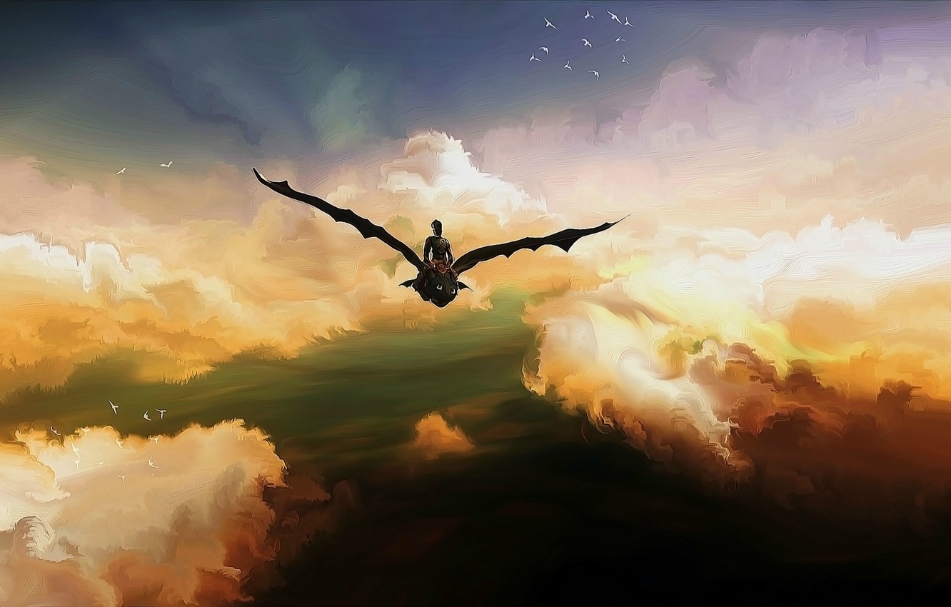 Photo Wallpaper The Sky, Birds, Hiccup, Toothless, - Train Your Dragon Wallpaper Art - HD Wallpaper 